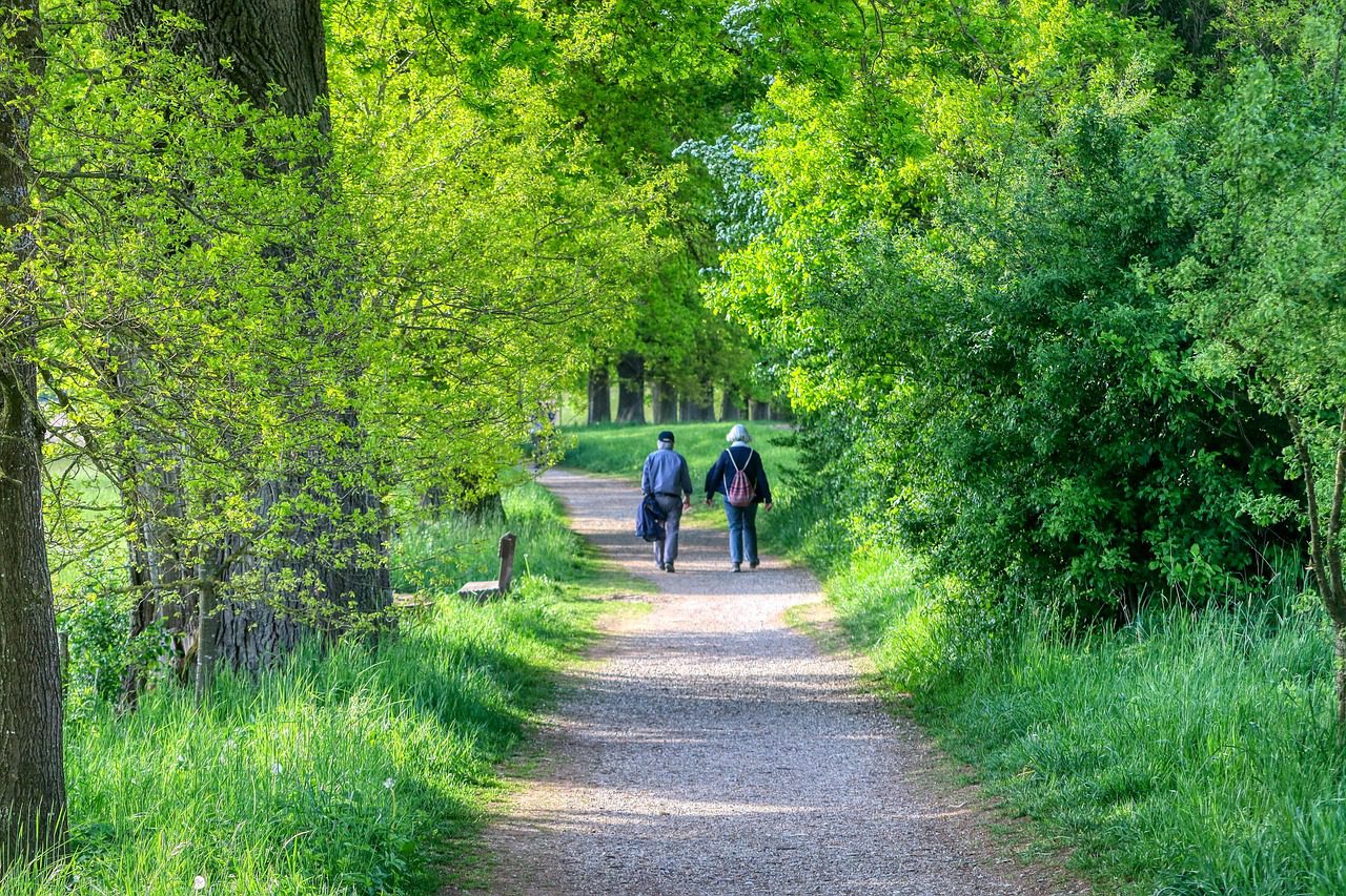 Elderly couple walking down a green tree-lined path.
